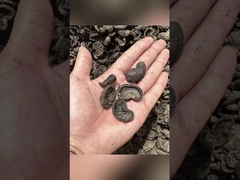 Μηχανή κατασκευής πελετών με επίπεδο πεδίο